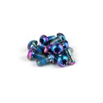 Rotorbolte SRAM M5x10mm Titanium - 12 stk - Rainbow - 00.5318.027.000 - allbike.dk